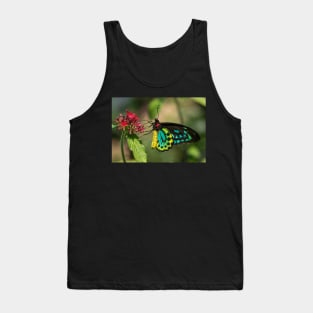 Cairns Birdwing Butterfly - stunning! Tank Top